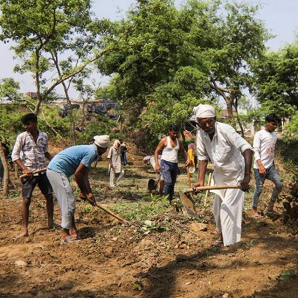 Good Posture For Rural Development Forest / Rural Development – Manav Sewa Sansthan